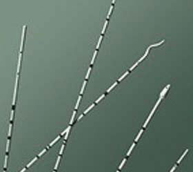 BRD 138010 BX/10 URETERAL CATH SPIRAL TIP 10FR