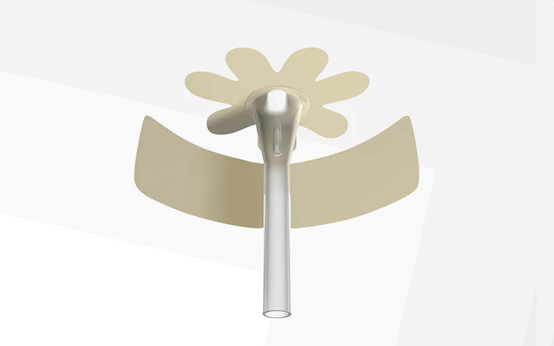 BX/30 MEN'S LIBERTY ACUTE - INTERNATIONAL, BILINGUAL PACKAGING