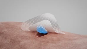 Biatain® Silicone Fit Foam Dressing