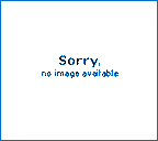 BD 231268 DISC SENSI BBL BACITRACIN B-10 PK/10