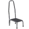 DM 13031-1SV EA/1 Footstool with Non Skid Rubber Platform and Handrail