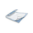 KND 984 CS/6BG (10EA/BG)  WINGS FLUFF AND POLYMER BREATHABLE UNDERPAD 30" X 36" LT. BLUE