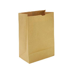 RL 68160033 CS/500 KRAFT PAPER BAG 8LB